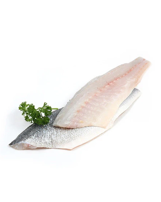 Branzino Fillet 1 Ib