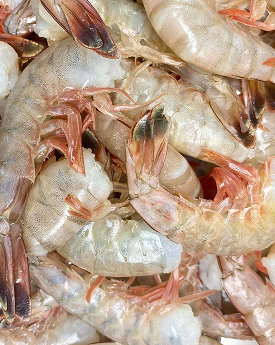 Alternative view of Wild Gulf Shrimp, Cleaned, Tail On, 36-40/lb, Frozen 2 Ib