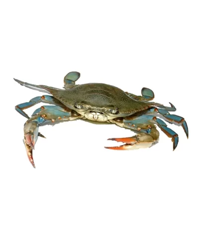 crab page