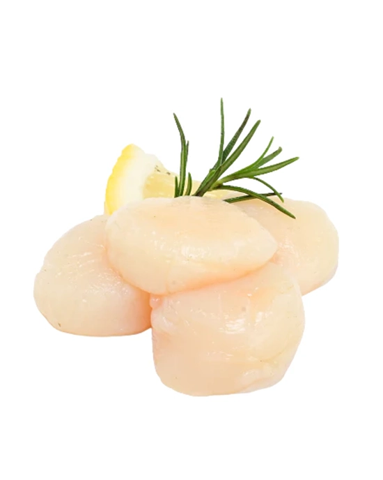 Sea Scallops (Dry-Pack, XL, Wild) By 1 lb