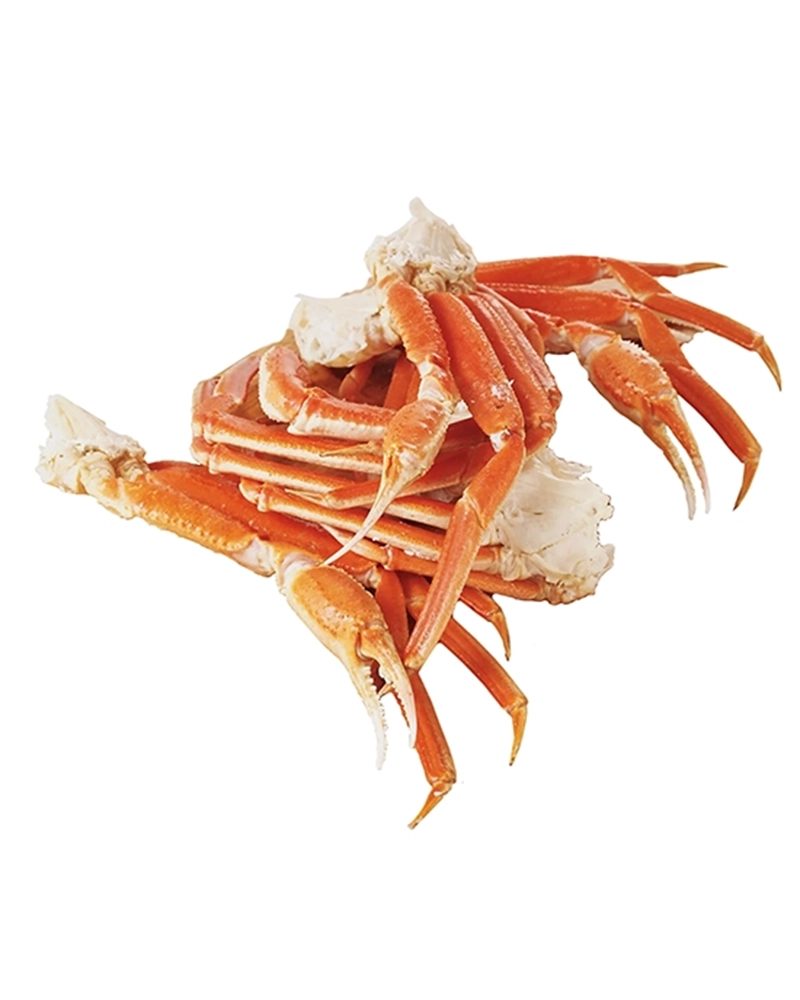 snowcrab 9e0e484b 8579 43c7 9095 b3c34d9d10fe 1
