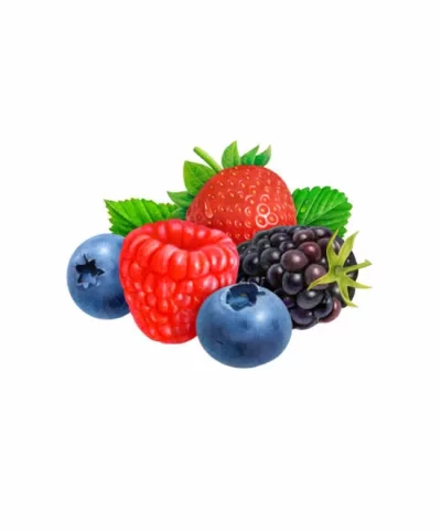 Berry Medley2 1