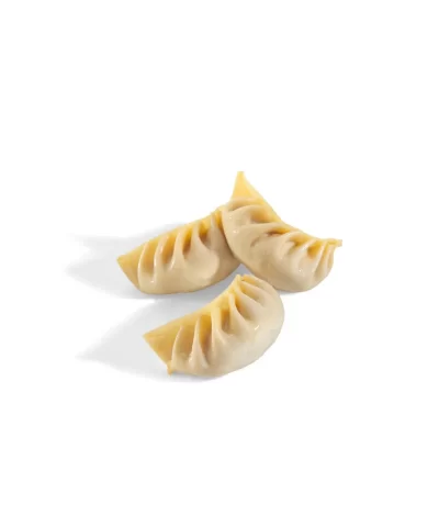 Chicken Gyoza3 1