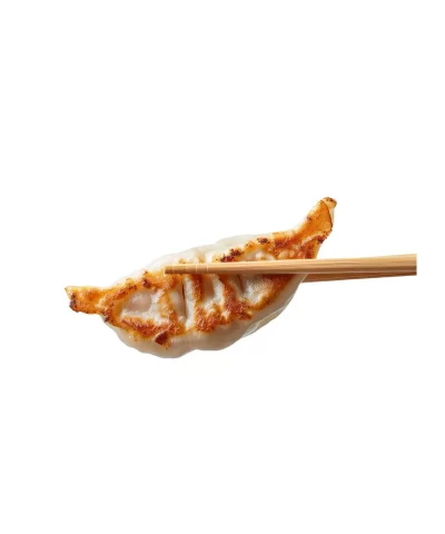 Chicken Potstickers3