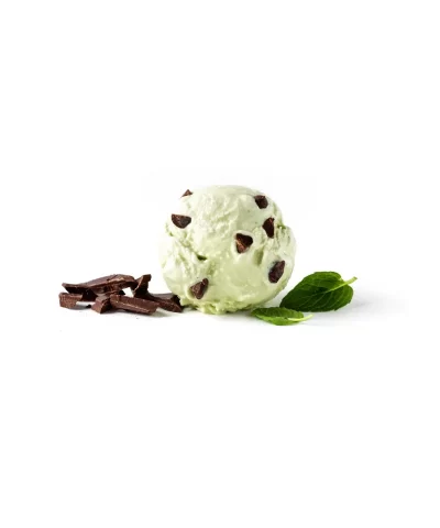 aldens organic mint chip ice cream 1 5 qt 3