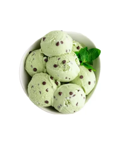 tillamook mint chocolate chip ice cream 48 fl oz 02