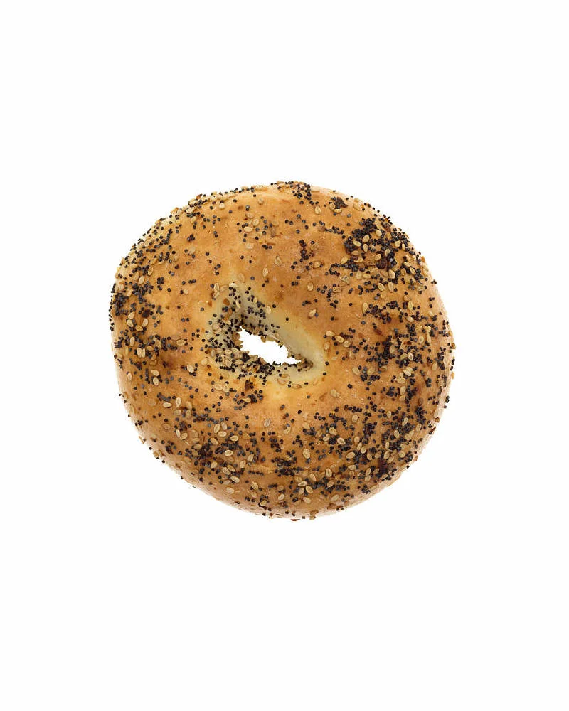 Egg Everything Bagel