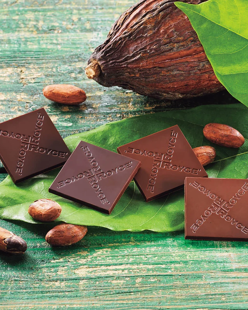 ROYCE' Origin Chocolate "Cacao 80%"
