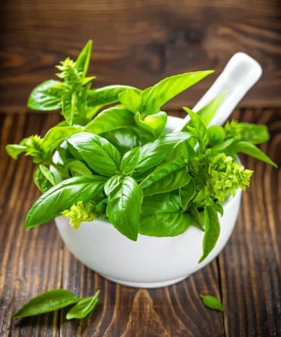 TAO Basil Pressato Olive Oil - Image 3