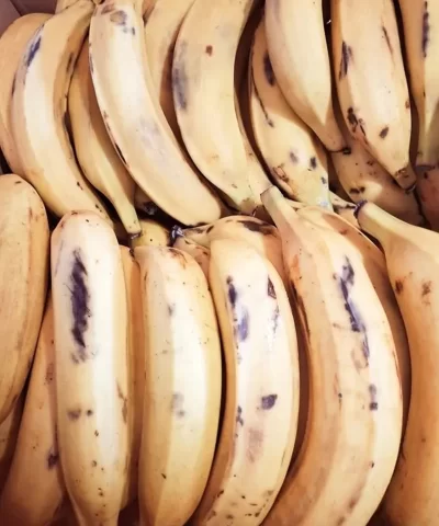 Alternative view of Yellow Plantains 1lb.
