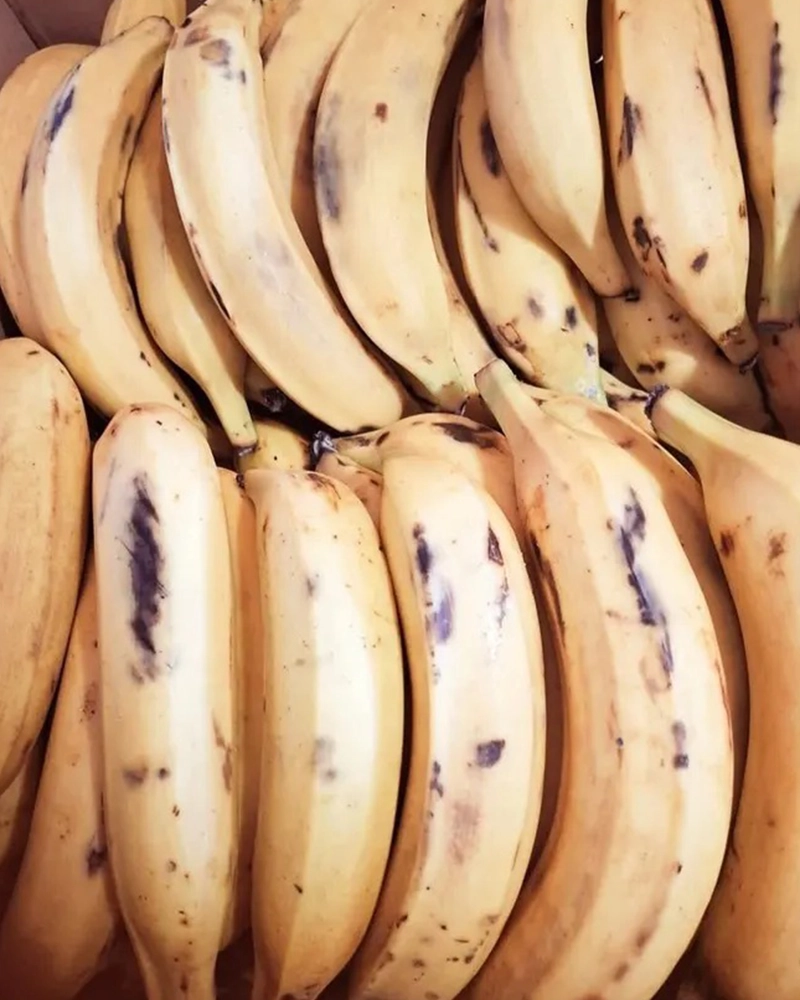 Alternative view of Yellow Plantains 1lb.
