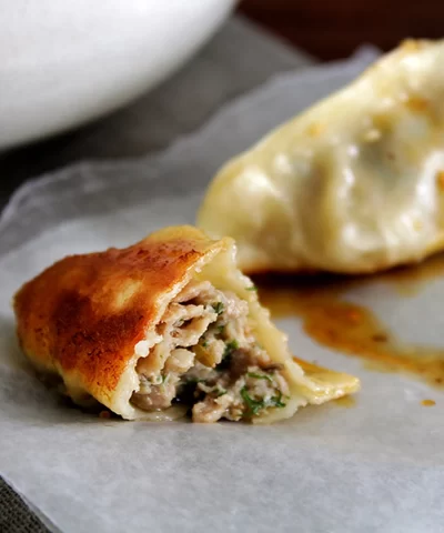 fennel potsticker23