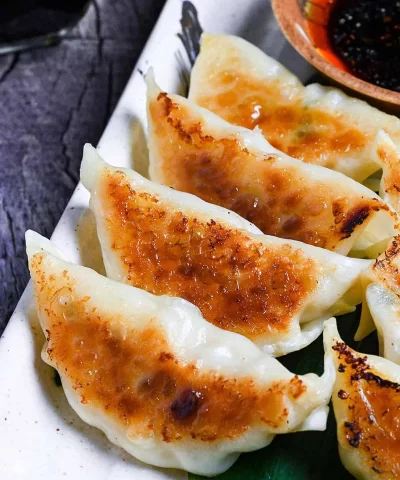 pork gyoza new 08
