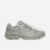 Ghost Gray / Gray
