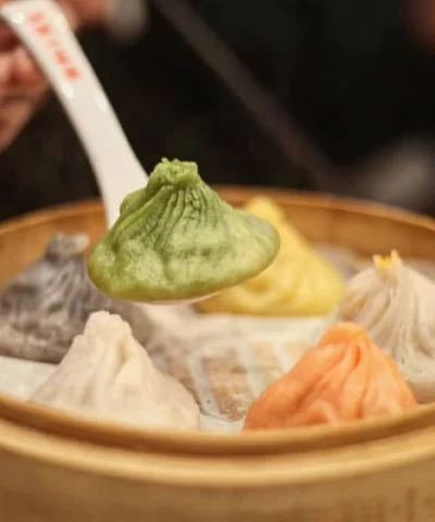 soup dump fiongoneeating