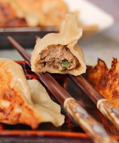 spicy beef dumplings 28
