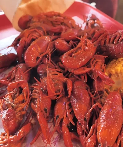 rajun cajun