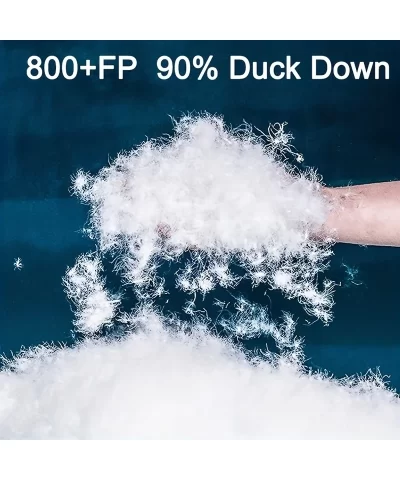 H005f9f1613184cc8add0c63c49300c9ai