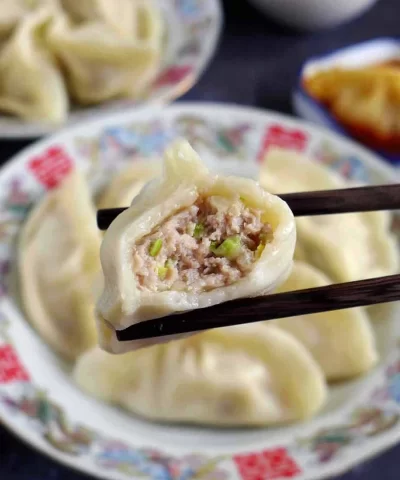 an half eaten pork dumpling scaled 1