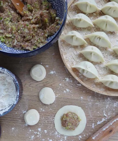 dumpling filling and wrapper scaled 1