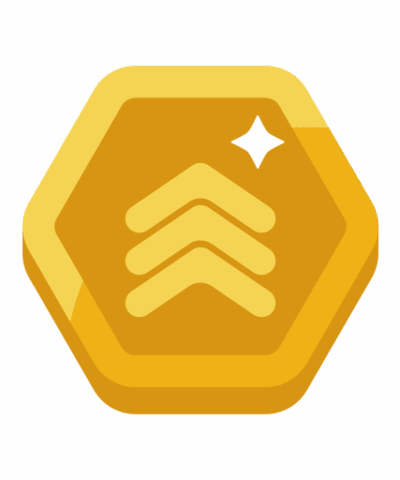 rank badge3