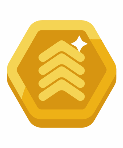 rank badge4