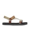 Beige Brown