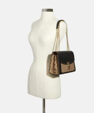 Coach Lane Shoulder Bag In Colorblock Signature Canvas 20253400 2