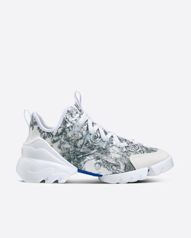 Dior D-Connect Sneaker-20244824