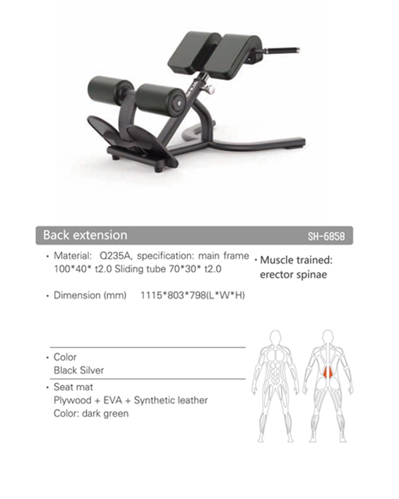 Alternative view of SHUA SH-G6858 Back Extension Workout Training Machines Erector Spinae Muscle Training Equipment