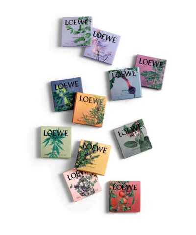 Loewe Home Scents Sample Set 20243129 2