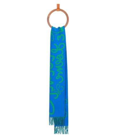 Loewe Scarf In Wool And Cashmere 20238315 4