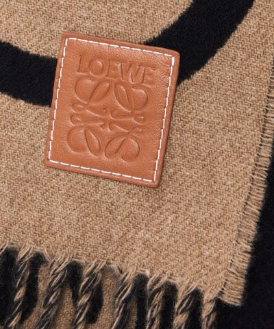 Loewe Scarf In Wool And Cashmere 20238315 5