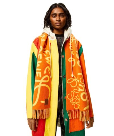 Loewe Scarf In Wool And Cashmere 20238328 8