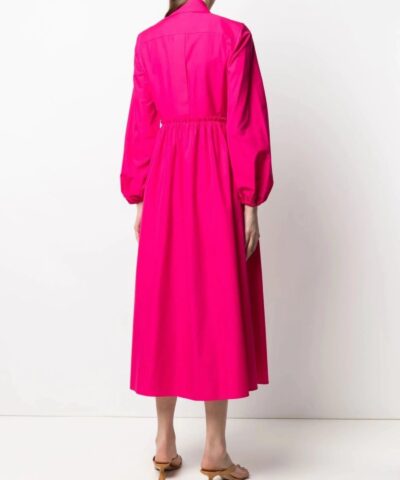 Max Mara Bairo Poplin Dress 20242749 4