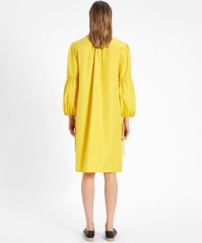 Max Mara Cotton Poplin Dress 20256924 4