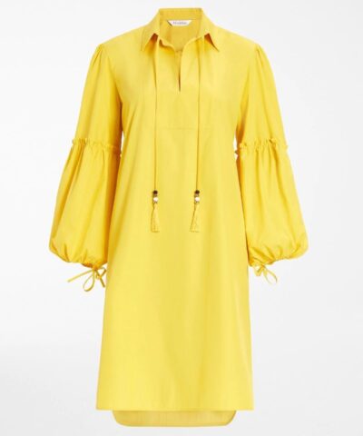 Max Mara Cotton Poplin Dress 20256924 5