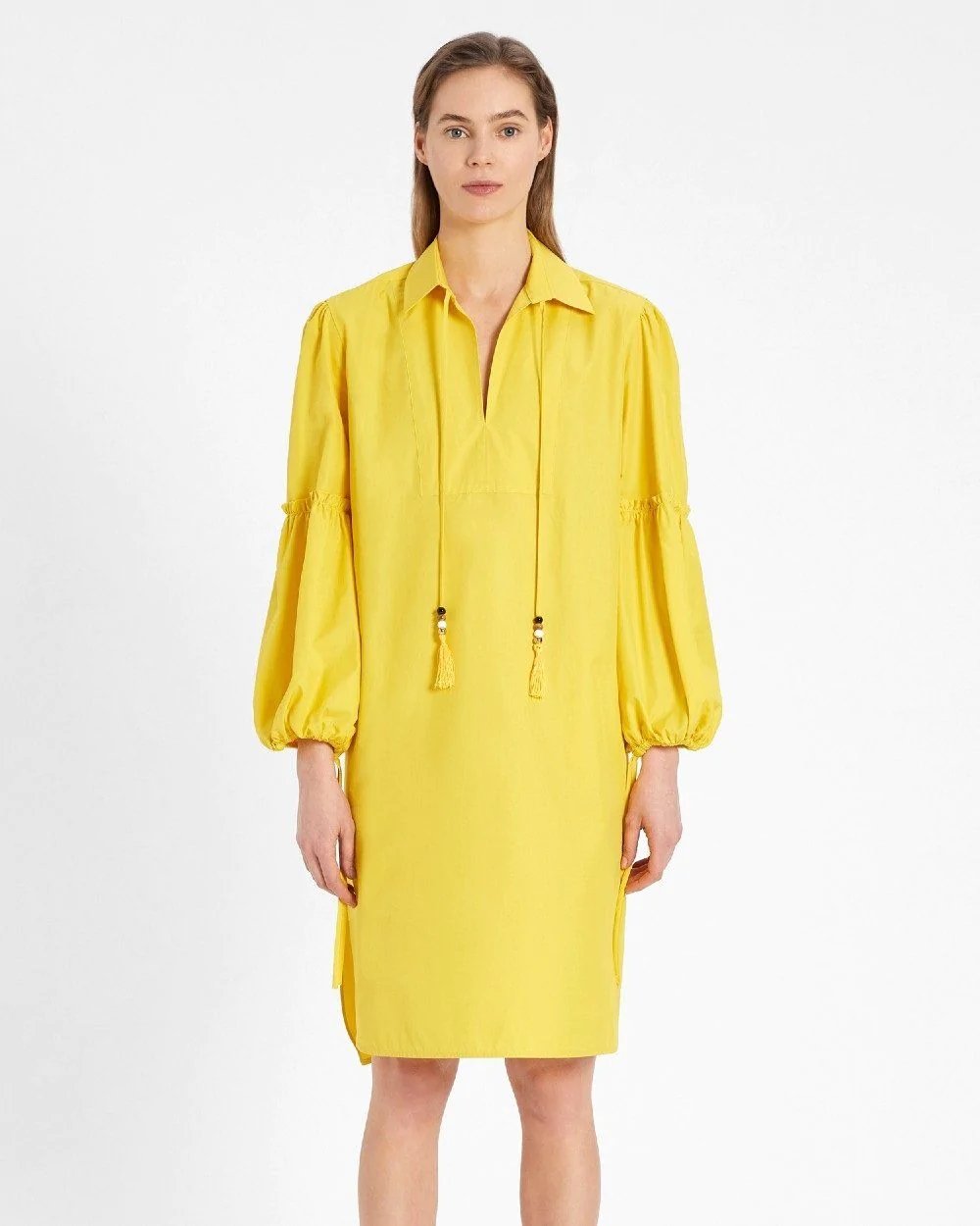 Max Mara Cotton Poplin Dress-20256924