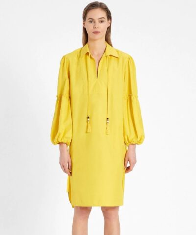 Max Mara Cotton Poplin Dress-20256925