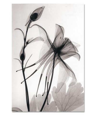 Alternative view of Modern Minimalist Print Poster Wall Art