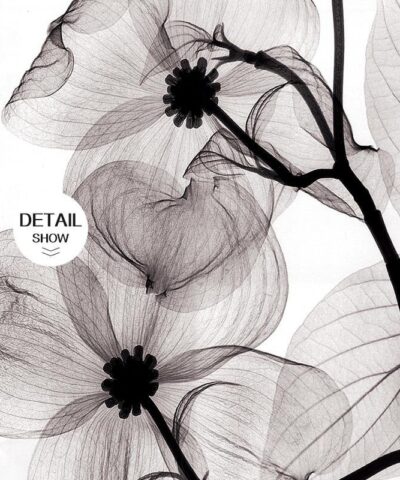 Modern Minimalist Print Poster Wall Art - Image 7