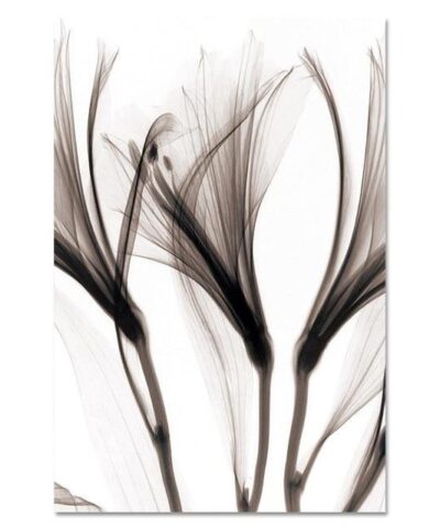Modern Minimalist Print Poster Wall Art-20219446