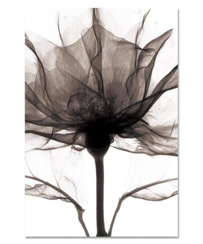Modern Minimalist Print Poster Wall Art-20219455