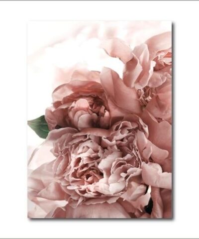 Nordic Canvas Modern Prints Plant Floral-20219514
