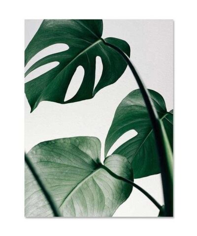 Nordic Canvas Modern Prints Plant Leaf-20219565