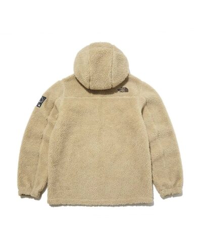 The North Face Kids Save the Earth Fleece Hoodie In Camel 20238292 1