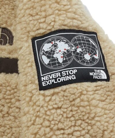 The North Face Kids Save the Earth Fleece Hoodie In Camel 20238292 2