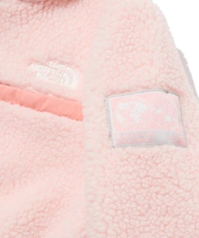 The North Face Kids Save the Earth Fleece Hoodie In Pink 20238279 5