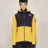 Arrowwood Yellow / Black