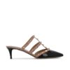 Black/Poudre